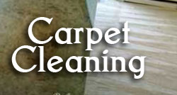 carpet cleaning in kingwood tx